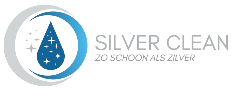 Silver Clean Logo